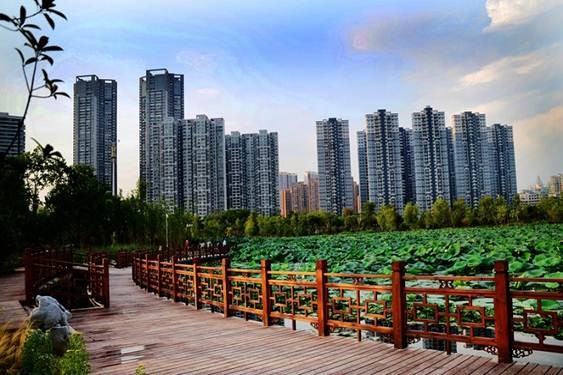 说明: psbCA5AOVQL